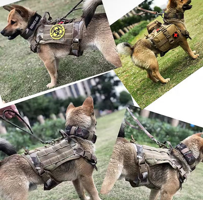 Arnés K9 AntiTirones
